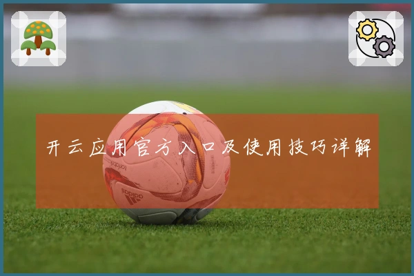 开云应用官方入口及使用技巧详解