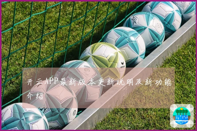 开云APP最新版本更新说明及新功能介绍