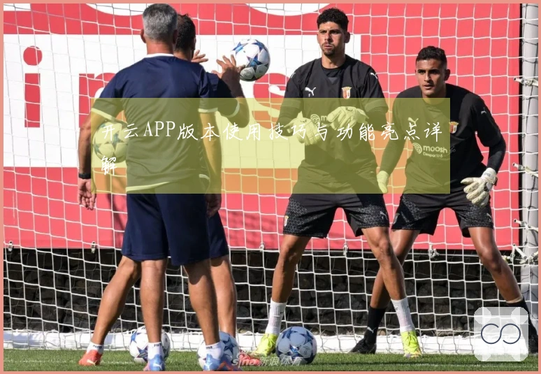 开云APP版本使用技巧与功能亮点详解